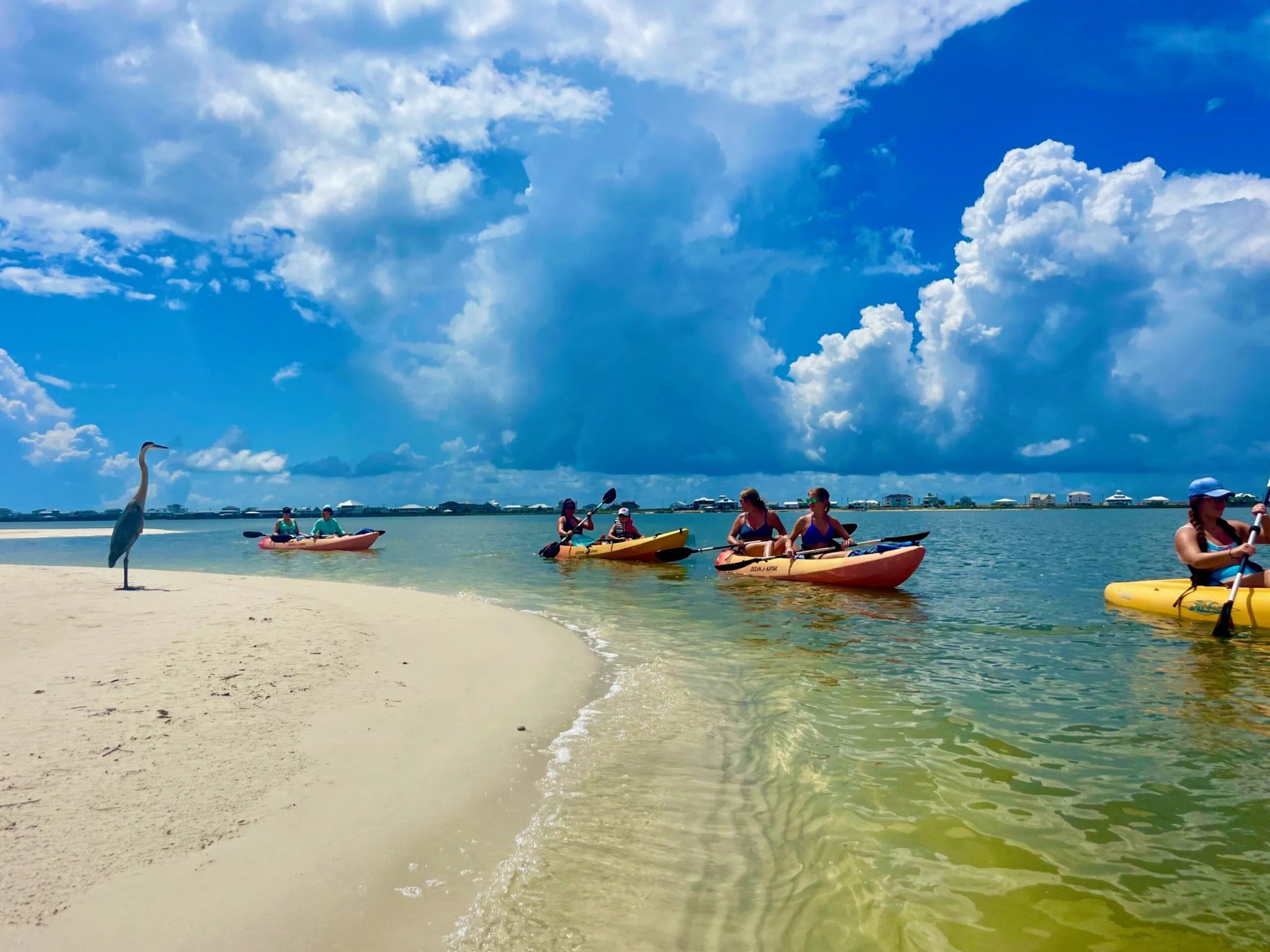 Home - Pure Aloha - Alabama