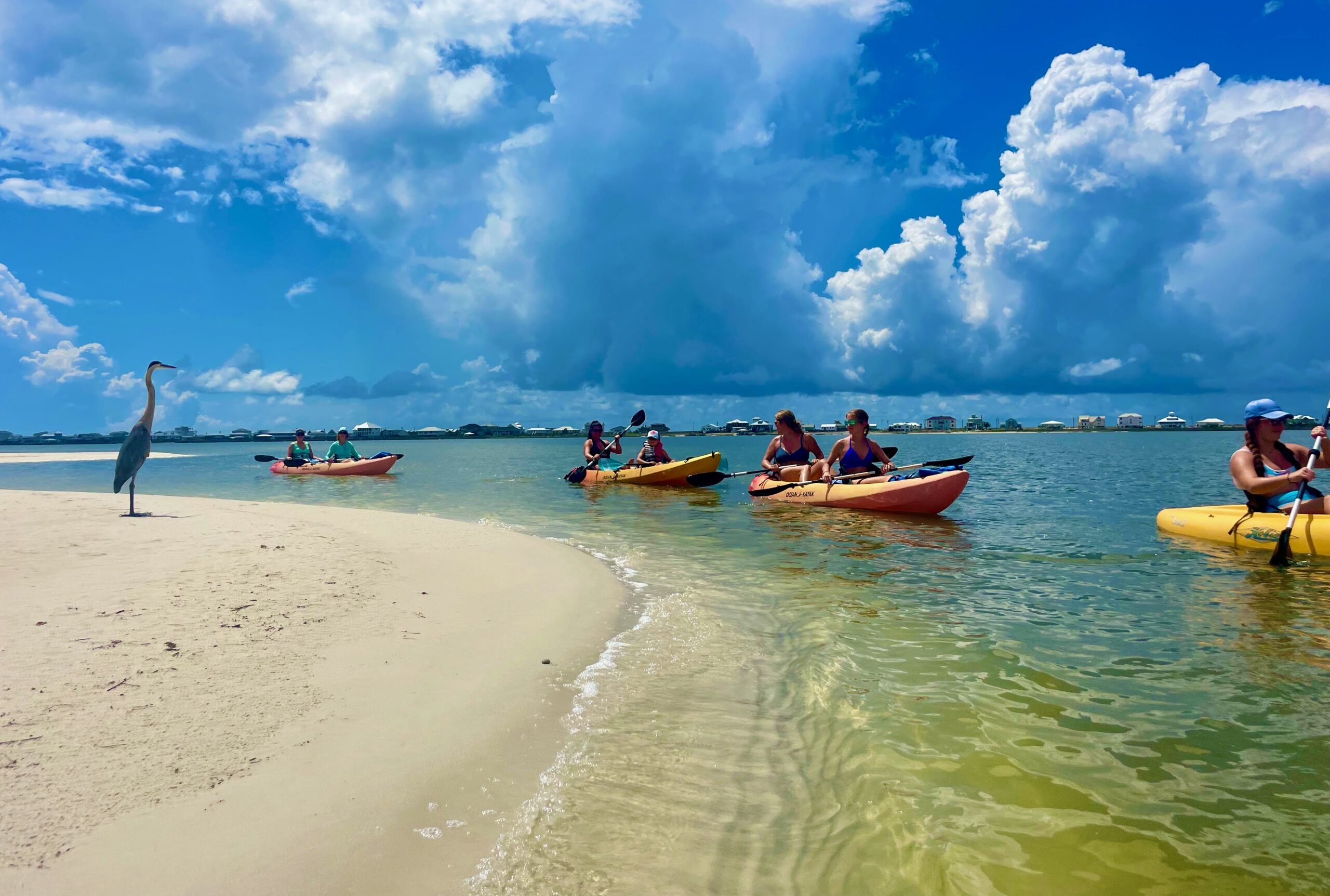 gulfshoreskayaktourorrental.jpeg