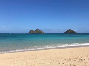 a sandy beach next to the ocean