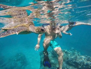 a turtle swimming under water with 2 snorkelers