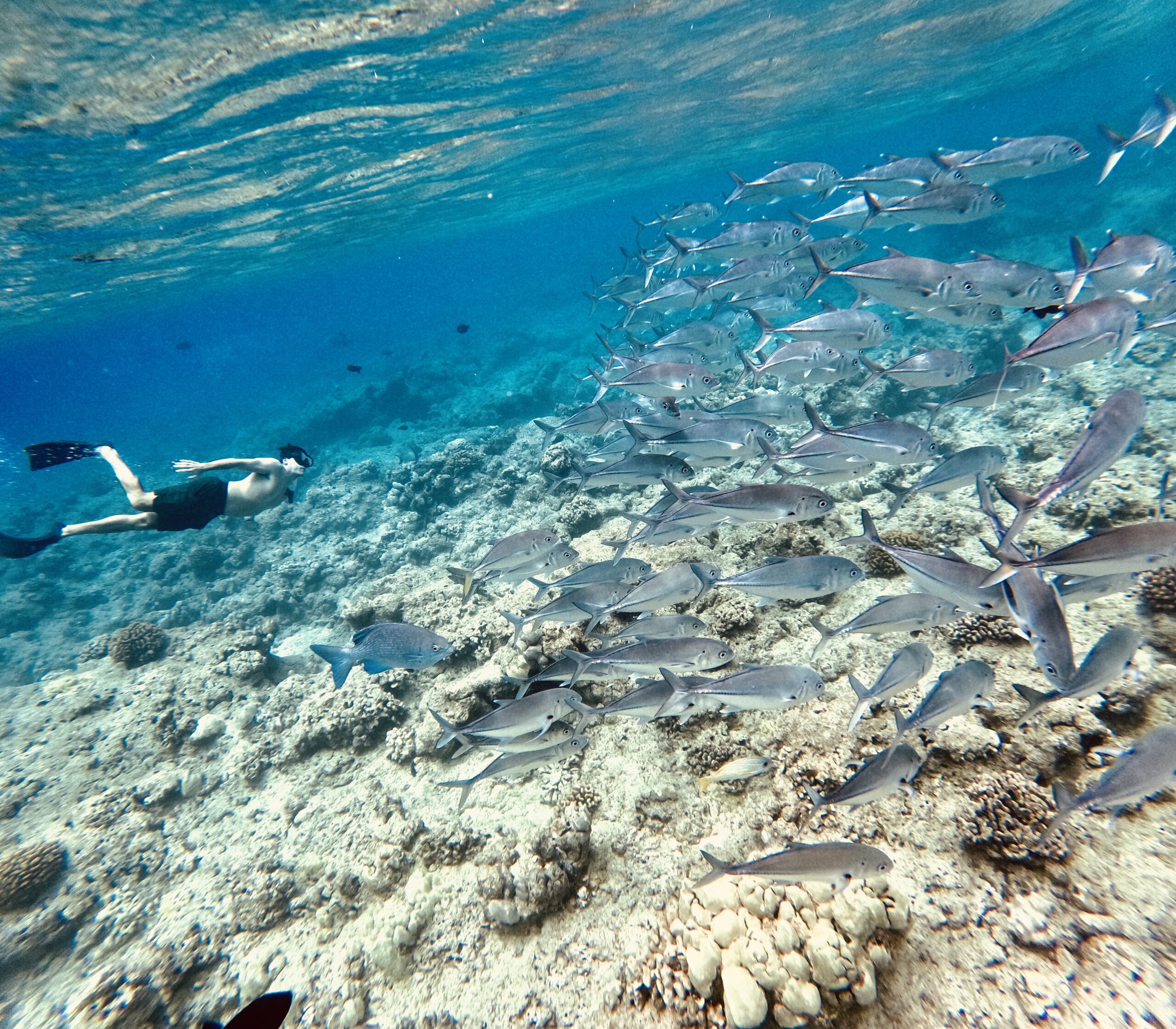 DCIM100GOPROGOPR4171.JPG