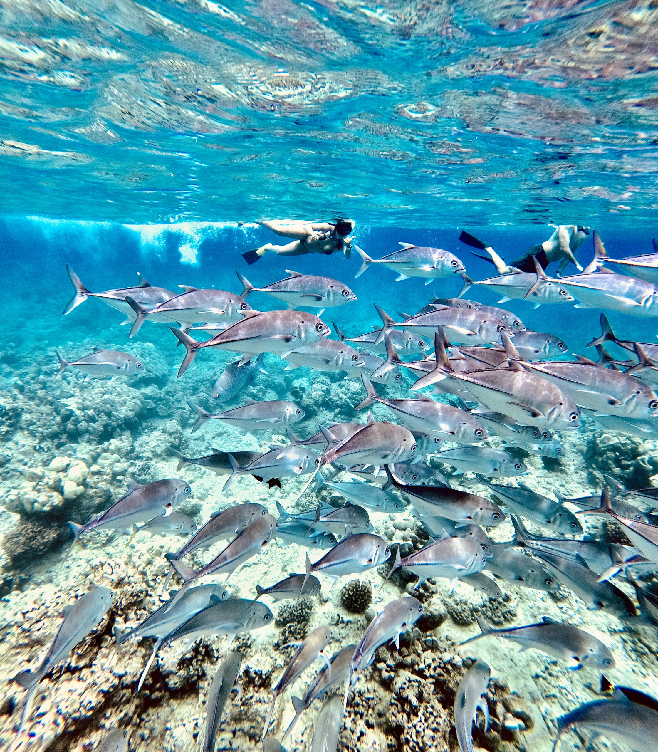DCIM100GOPROGOPR4175.JPG