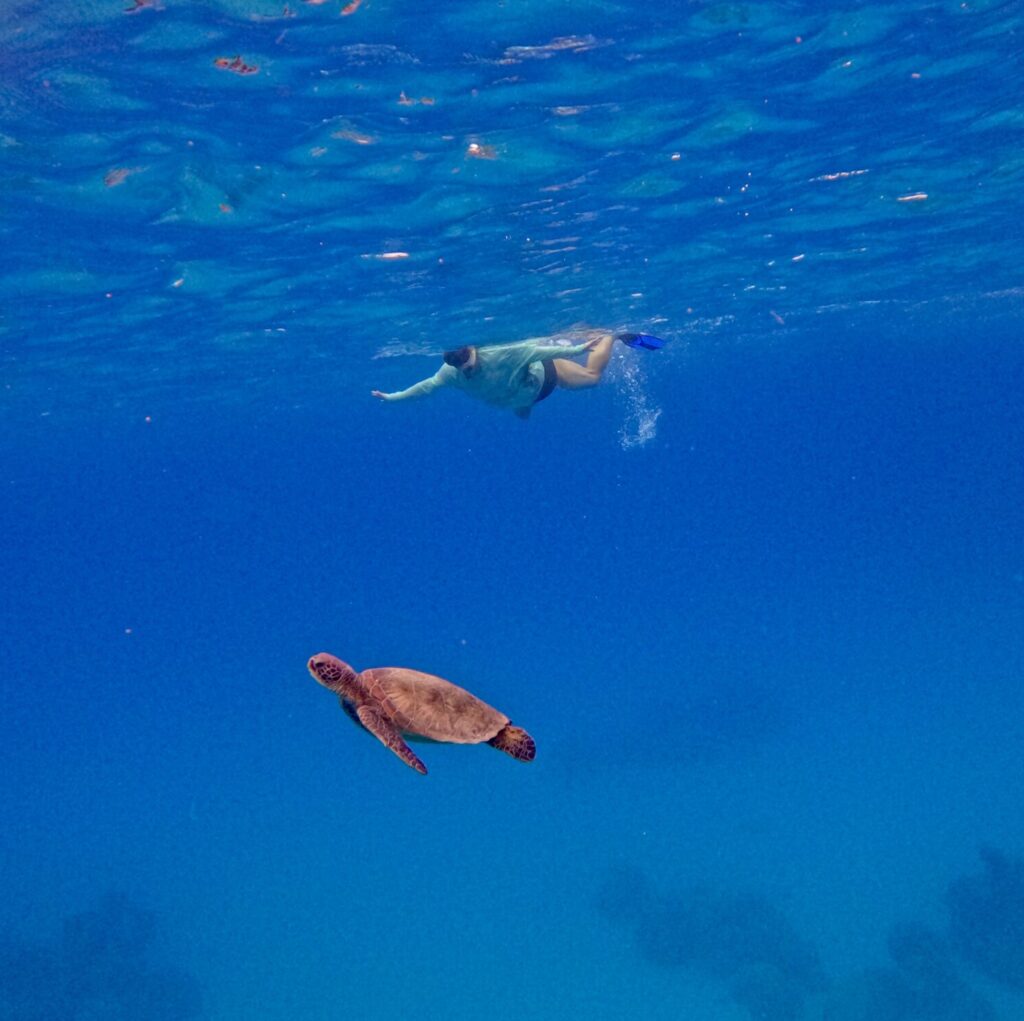 man swimming with turtle cropped