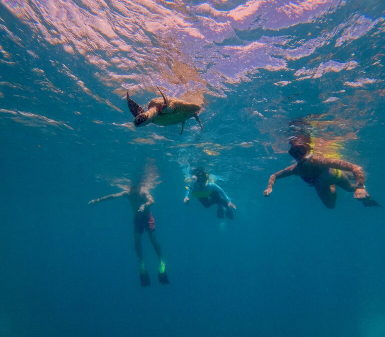 DCIM100GOPROGOPR7793.JPG