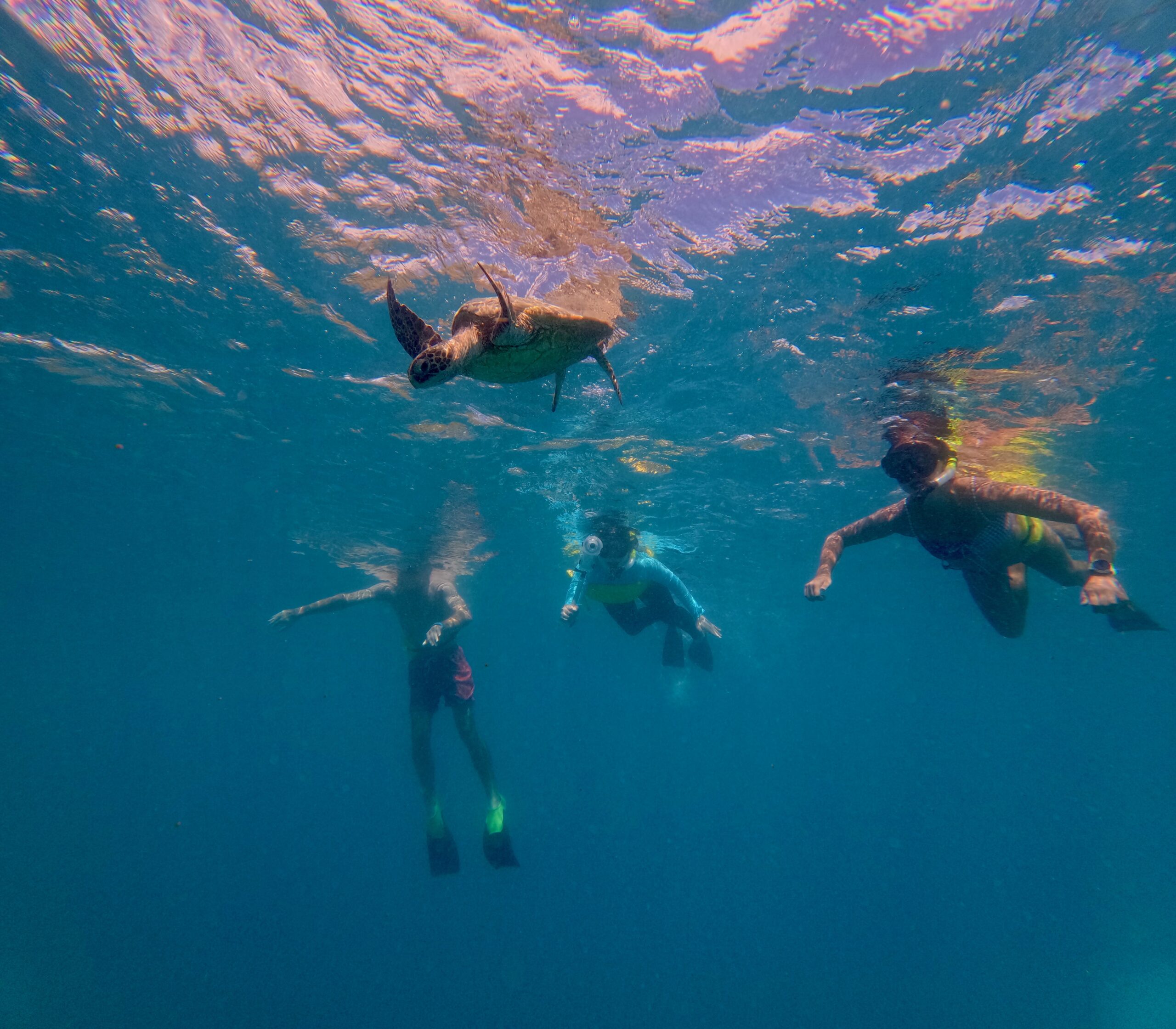 DCIM100GOPROGOPR7793.JPG