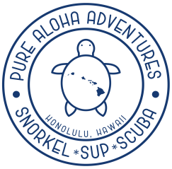 Pure Aloha Adventures