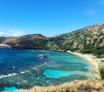 overhead view of hanauma bay Hawaii