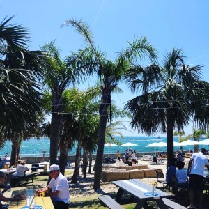 a group of people on a beach with a palm tree